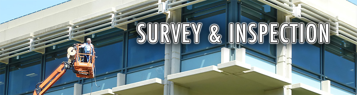 Survey and Inspection